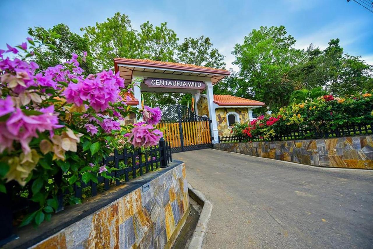 Centauria Wild Udawalawe Exterior foto