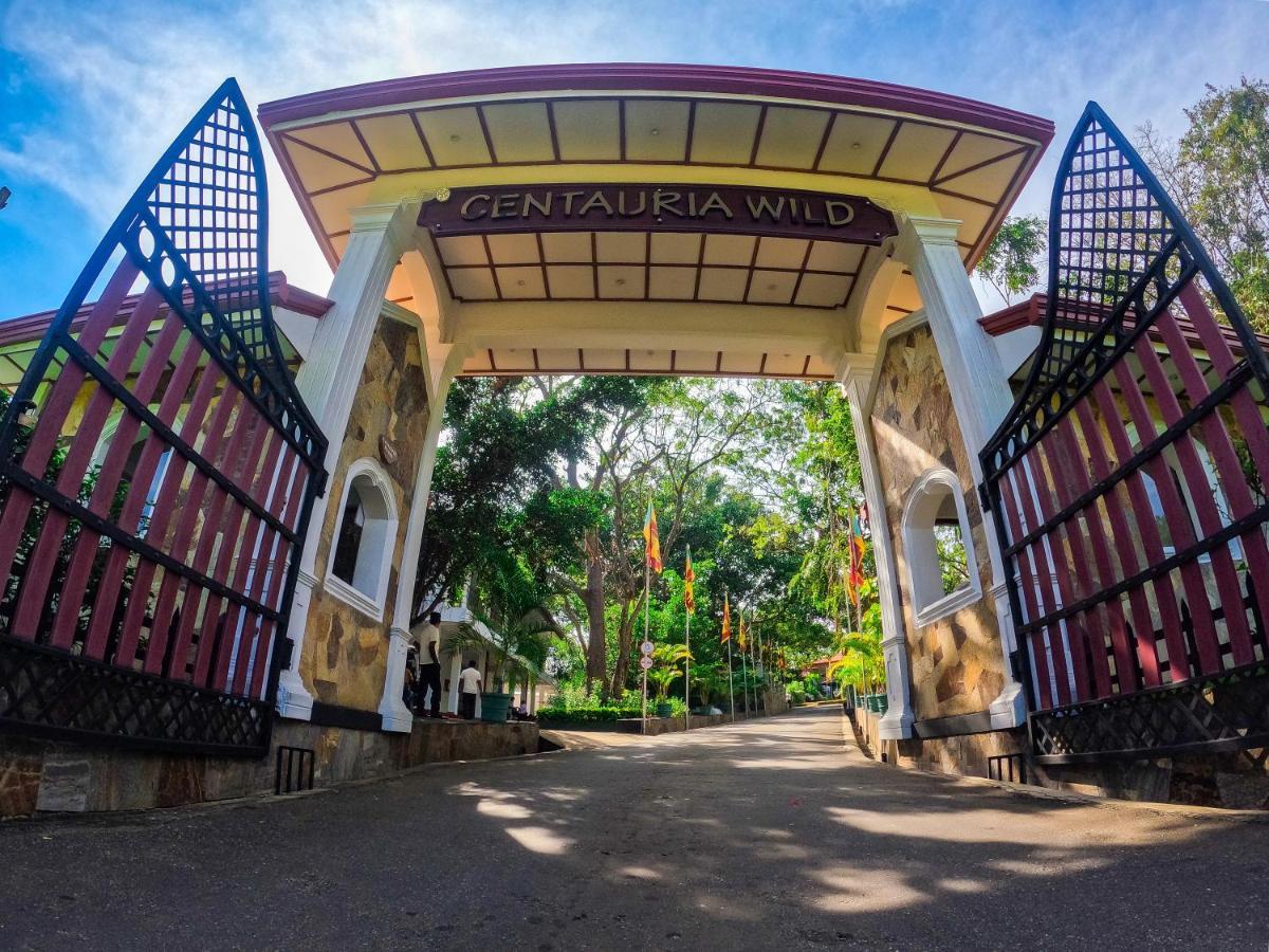 Centauria Wild Udawalawe Exterior foto
